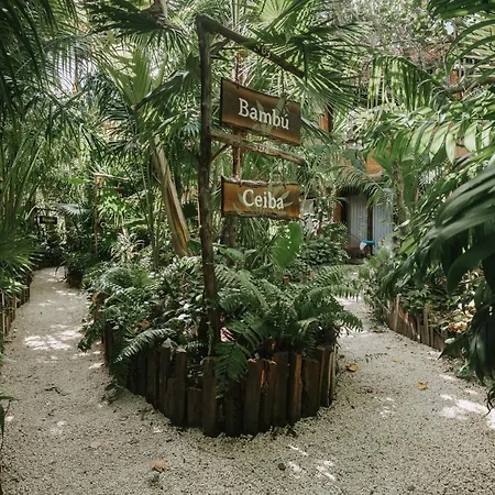 Enigmatic Beach Hotel-3